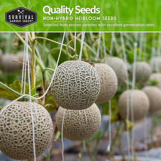 Melon Seeds for Planting Variety Pack – 6 Heirloom Cantaloupe, Honeydew & Watermelon Types – Honey Rock, Hale’s Best, Tendersweet, Georgia Rattlesnake – Survival Garden Seeds