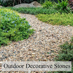 FANTIAN 40 lbs Aquarium Gravel, 1/4 Inch Fish Tank Pea Gravel, Decorative River Rocks Stone for Freshwater Tanks, Outdoor Pond, Garden, Landscaping, Terrarium, Soil Drainage