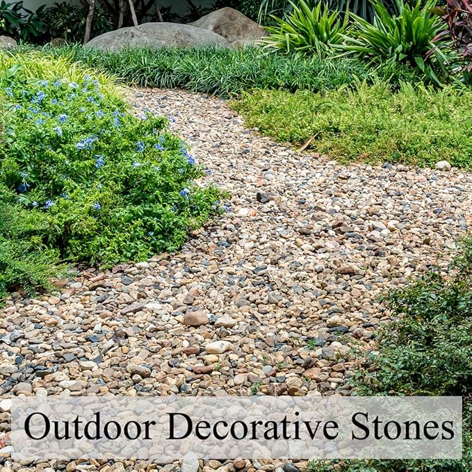 FANTIAN 2 lbs Aquarium Gravel, 2/5 inch Pea Gravel for Fish Tank, Decorative Pebbles River Rocks for Plants Succulent Vase Indoor Water Fountains and Outdoor Landscaping