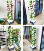 FLTRGO Hydroponics Growing System,Indoor herb Garden,hydroponic Growing Kits & Systems,Vegetables hydroponic Grow kit,with Hydrating Pump, Adapter, Net Pots.
