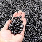 Black Rocks for Plants. Polished Decorative Pebbles. 1/5 Inch 2 lbs. for Garden, Landscaping, Vase fillers, Succulents, pots (Mini, Black, 2)