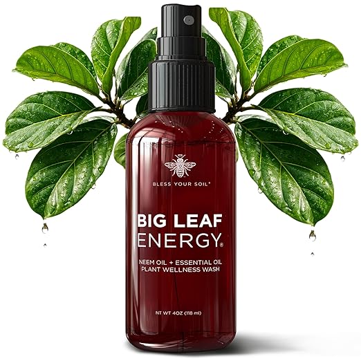 Neem Oil Spray for Plants – Big Leaf Energy, with Essential Oils – Ready-to-Use Plant Spray for Outdoor & Indoor Plants, Made in USA (4 fl oz)