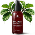 Neem Oil Spray for Plants – Big Leaf Energy, with Essential Oils – Ready-to-Use Plant Spray for Outdoor & Indoor Plants, Made in USA (4 fl oz)
