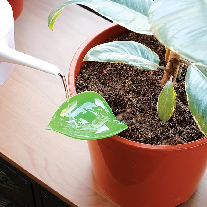 Bubblegum Stuff Foliage Funnels - Precise Watering Tool - Six Stylish Plant Funnels - Perfect for Plant Parents - Great Gardening Gift for Friends