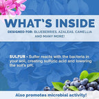 Bloom City Organic Soil Acidifier – Lowers Soil pH for Blueberries, Hydrangeas & Acid-Loving Plants, 32 oz