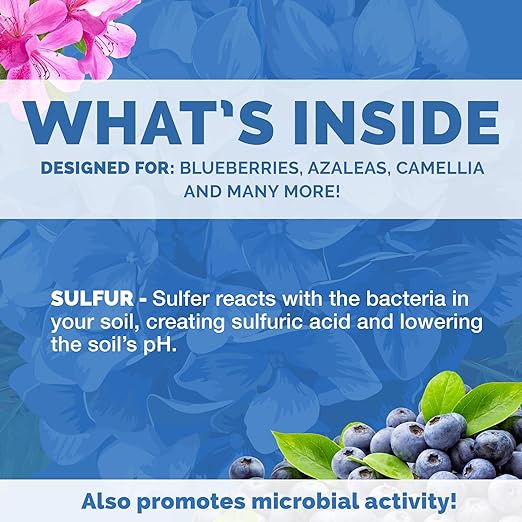 Bloom City Organic Soil Acidifier – Lowers Soil pH for Blueberries, Hydrangeas & Acid-Loving Plants, 32 oz