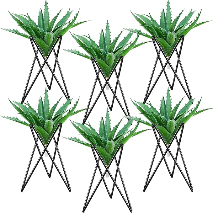 Jetec 6 Pcs Air Plant Holder Airplants Live Holders Airplants Rack Black Metal Desk Plant Rack for Home Office Study Balcony Garden Patio Wedding Decoration Gift