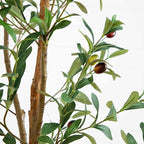 Artificial Potted Olive Tree - 6' - Green