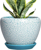 Ceramic Plant Pot - 6 Inch Indoor Planters for Succulent Plants, Round Decorative Flower Pot with Drainage Hole and Saucer, Small Plant Pots, Room Decor, Gifts for Gardeners, Crackle Blue