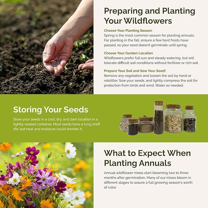 Eden Brothers All Annual Wildflower Mixed Seeds for Planting, 1 lb, 480,000+ Seeds with Sunflower, Indian Blanket, Scarlet Flax | Attracts Pollinators, Plant in Spring, Zones 3, 4, 5, 6, 7, 8, 9, 10