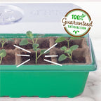 Back to The Roots 10-Cell Greenhouse Germination Kit | Includes Biodegradable Pots & Vented Greenhouse Lid | Made from 75% Recycled Plastic
