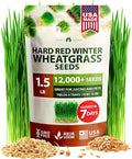 HOME GROWN Hard Red Winter Wheatgrass Seeds 12,000+ Bulk 1.5 lb Heirloom Non-GMO, Sprouting for Juicing, Healthy Smoothies, Pet Cat Grass, Microgreens, Indoor Garden (Triticum aestivum)