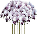 FagusHome 32 Inch Artificial Phalaenopsis Flowers 6 Pcs Artificial Orchid Flowers Stem Plants for Home Décor (Purple Core)