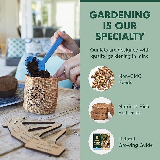 Garden Republic Bonsai Tree Kit - Mini Bonsai Seeds, 4 Types - Seed Starter Plant Growing Kit - Potting Soil Jute Bags Pruning Shears Tool and Plant Markers
