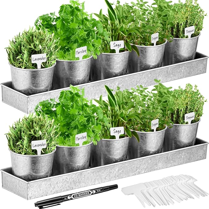 FoldTier 2 Sets Herb Garden Planter Indoor Kit with Trey 10 Pcs Metal Windowsill Plant Pots with Drainage Holes Indoor Herb Planter with Marker and Labels for Home Outdoor Plants(Silver)