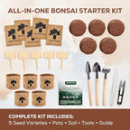 Bonsai Starter Kit for Adults – Complete Indoor Tree Growing Set with Jacaranda Seeds, Tools & Planter | DIY Gardening Hobby Kits for Plant Lovers, Unique Easter Gifts for Men & Women