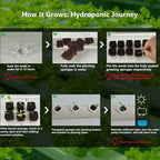 NFT Hydroponic Growing System Kit - Full-Spectrum Grow Lights ＆ Timer | 36 Plant Sites | Food-Grade PVC-U Pipes | Auto Water Pump & Timer | Indoor Gardening for Leafy Greens, Lettuce & Herbs