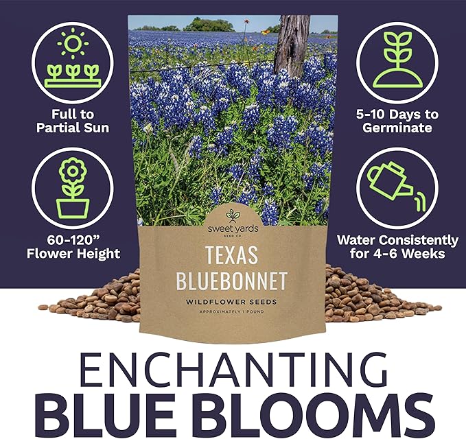 Bulk Texas Bluebonnet Wildflower Seeds - 5 Pounds - Over 80,000 Native Seeds - Texas State Flower!