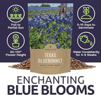 Bulk Texas Bluebonnet Wildflower Seeds - 5 Pounds - Over 80,000 Native Seeds - Texas State Flower!