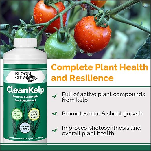 Bloom City Seaweed and Kelp Fertilizer – Liquid Seaweed Supplement for Stronger Roots, Faster Growth & Improved Stress Tolerance, 8 oz