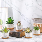 Fumete 12 Pcs Bible Verse Succulent Pots with Tray Drainage, 3 x 2 in Inspirational Mini Ceramic Flower Planter Christian Religious Gifts for Women Men Teacher Guest Staff Church(Scripture Series)