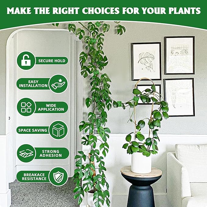 EWPJDK Wall Clips for Climbing Plants 180 PCS, Plant Clips for Climbing Plants, Wall Plant Holder for Vines Plant Clips for Indoor Plants, Vine Wall Clips Plant Hooks for Vines (Green)