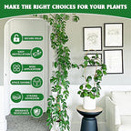 EWPJDK Wall Clips for Climbing Plants 180 PCS, Plant Clips for Climbing Plants, Wall Plant Holder for Vines Plant Clips for Indoor Plants, Vine Wall Clips Plant Hooks for Vines (Green)