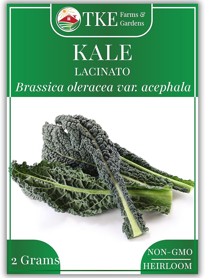 TKE Farms & Gardens - Lacinato Kale Seeds for Planting, 2 Grams, 500+ Heirloom Non-GMO Seeds - Dinosaur Kale, Tuscan Kale, Cold Hardy Superfood for Traditional & Urban Gardens