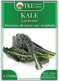 TKE Farms & Gardens - Lacinato Kale Seeds for Planting, 2 Grams, 500+ Heirloom Non-GMO Seeds - Dinosaur Kale, Tuscan Kale, Cold Hardy Superfood for Traditional & Urban Gardens