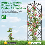 AMAGABELI GARDEN & HOME Garden Trellis 2 Pack 71”x20” Heavy Duty Rustproof Wall Trellis for Climbing Plants Outdoor Metal Decoration Large Trellis for Potted Plants Support Trellis Roses Black