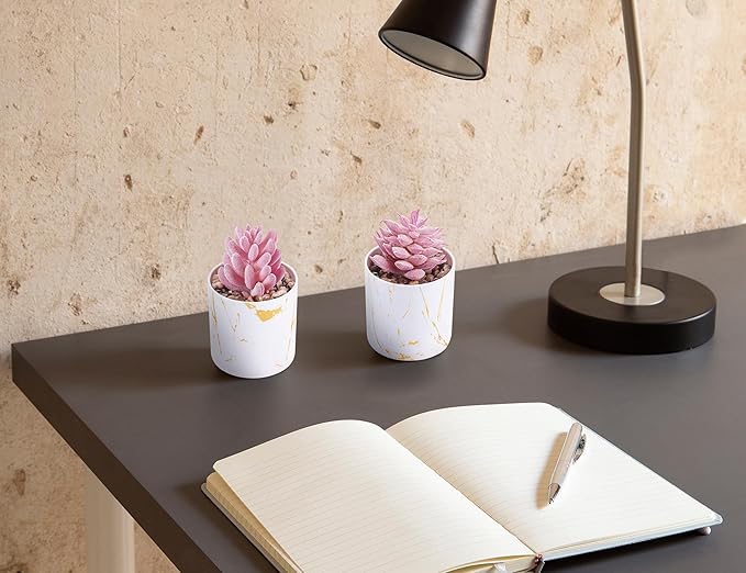 Der Rose 6 Pack Fake Plants Succulents Plants Artificial for Bathroom Home Office Desk Accessories for Women