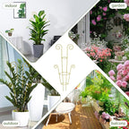 ZOUTOG Trellis for Climbing Plants Indoor 4 Pack 30 Inch,Rustproof Metal Garden Trellis for Potted Plants,Houseplant Support Indoor Outdoor for Ivy Pothos Monstera Hoya Flower Vines(Golden Round)