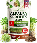 HOME GROWN Alfalfa Sprout Seeds 8 oz Bulk Heirloom Non-GMO, USA Sourced, High Germination, Fast Growing Microgreens, Nutrient Dense Sprouting Seeds for Sandwiches & Salads, Indoor Garden