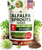 HOME GROWN Alfalfa Sprout Seeds 8 oz Bulk Heirloom Non-GMO, USA Sourced, High Germination, Fast Growing Microgreens, Nutrient Dense Sprouting Seeds for Sandwiches & Salads, Indoor Garden