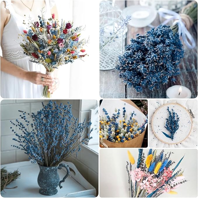 Dried Preserved Lavender Flowers Bundle, 100% Natural Dried Lavender Bouquet 180-200 Stems 15-17" for Crafts, Shower, Weeding and Home Decor, Aromatherapy, Fragrance, Fresh, Dry (Blue-2.82oz)