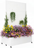 Double Metal Planter Box with Trellis Privacy Screen, Raised Garden Bed with Trellis & Wheels, Planter Box Outdoor with Drainage Holes for Climbing Plants, Vines,73"x 47"x 30", White