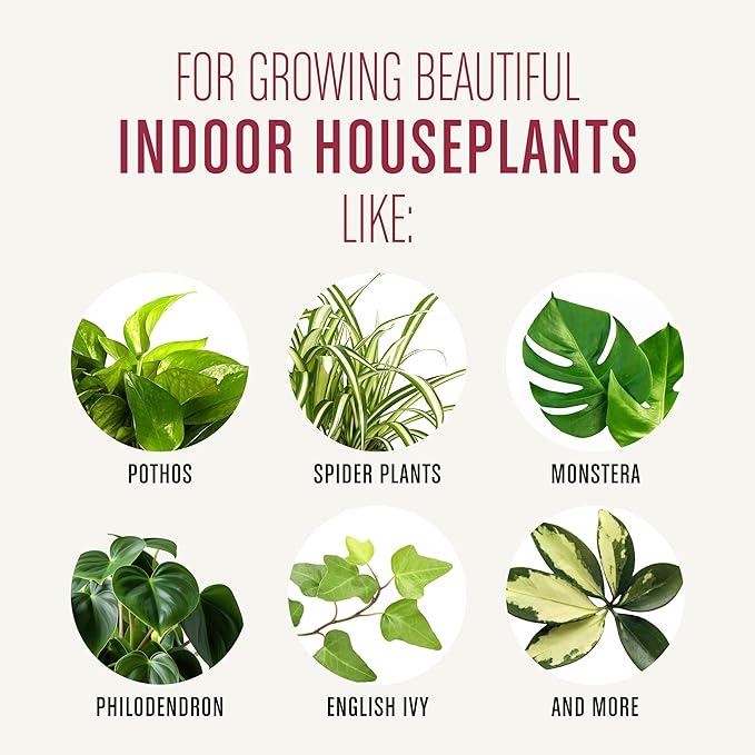 Miracle-Gro Houseplant Potting Mix - Fertilized Indoor Plant Soil for Containers, Designed to be Less Prone to Gnats, 4 qt. (3-Pack)