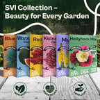 SVI 100 Mix Hollyhock Seeds (Alcea rosea) - Mallow, Common Hollyhock Seed Packets, Attracts Hummingbirds - Heirloom Flower Seeds for Outside & Inside, Meadows, Fences, Beds