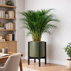 D'vine Dev Planter Pot with Stand - 12 Inch Plastic Cylinder Flower Pot with Wood Planter Holder for Indoor, Olive Pot + Ebony Stand, 55-C-Q-3