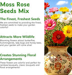LUOJIBIE Moss Rose Seeds, 20,000+ Bulk Flower Seeds for Planting Outdoors(99% Pure Live, Non-GMO), Mixed Colors and Large Blooms, Attracts Pollinators, Easy to Grow