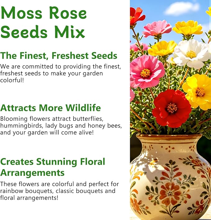 LUOJIBIE Moss Rose Seeds, 20,000+ Bulk Flower Seeds for Planting Outdoors(99% Pure Live, Non-GMO), Mixed Colors and Large Blooms, Attracts Pollinators, Easy to Grow