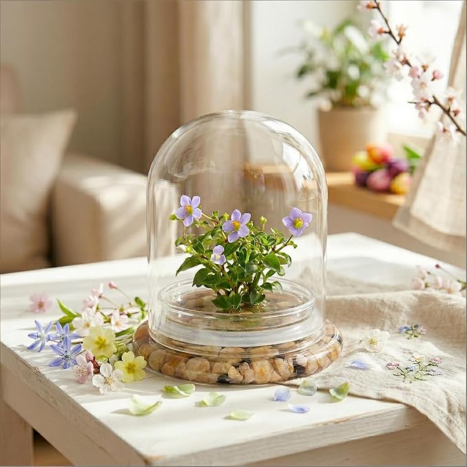 Persian Violet Terrarium, Elegant Live Flowering Plant Gift, Continuous Blooming, Self-Growing, No-Watering, Zero-Maintenance Indoor Glass Décor