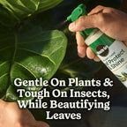 Miracle-Gro Plant Care Leaf Protect and Shine, 4-in-1 Insecticide, Miticide, Fungicide and Leaf Shine Spray for Indoor Plants, 8 fl. oz., 2-Pack