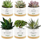 Tarklanda 6 Pcs Thank You Gift Succulent Pots Mini Ceramic Plant Pots with Bamboo Tray Flower Pots Planters for Teacher Coworker Employee Nurse Friends Appreciation, Plants Not Included