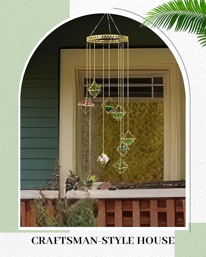 Willinglong 6 Pcs Hanging Air Plant Holder, Gold Tillandsia Air Plant Holders Unique, Airplants Live Holders, Air Fern Macrame Display for Indoor Home Office Ceiling Wall Decor