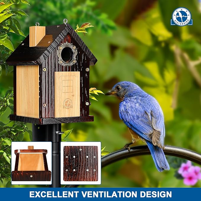 SISTERBIRD Pack of 2 Premium Bluebird Houses for Outside, All Seaons Bird Houses for Outside, Wooden Cabin Birdhouses for Outdoors, Weatherproof Courtyard Decorated Hanging Bird House
