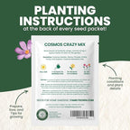 Crazy Cosmos Mix - Large 5g Envelope - 600 Flower Seeds for Planting - Cosmos bipinnatus