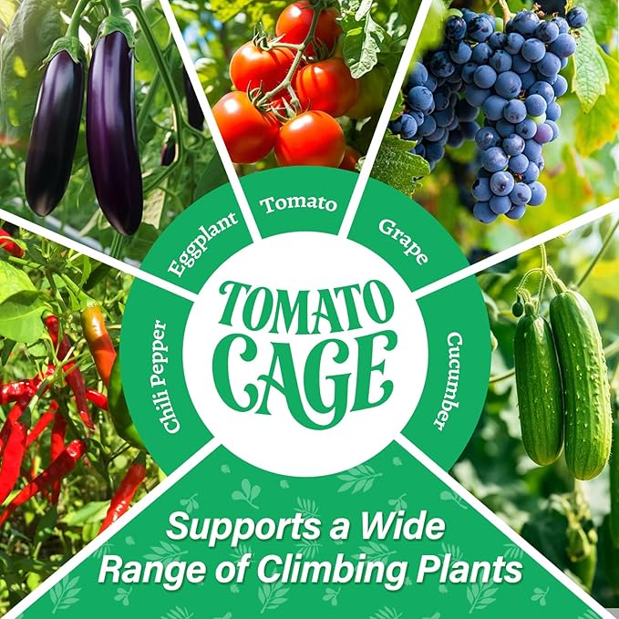 6 Pack Square Tomato Cages for Garden, 60 Inch Adjustable Tomato Stakes, Metal Tomato Trellis, Garden Plant Support for Potted Climbing Plants, Vegetables Flowers Fruits, Raised Garden Bed