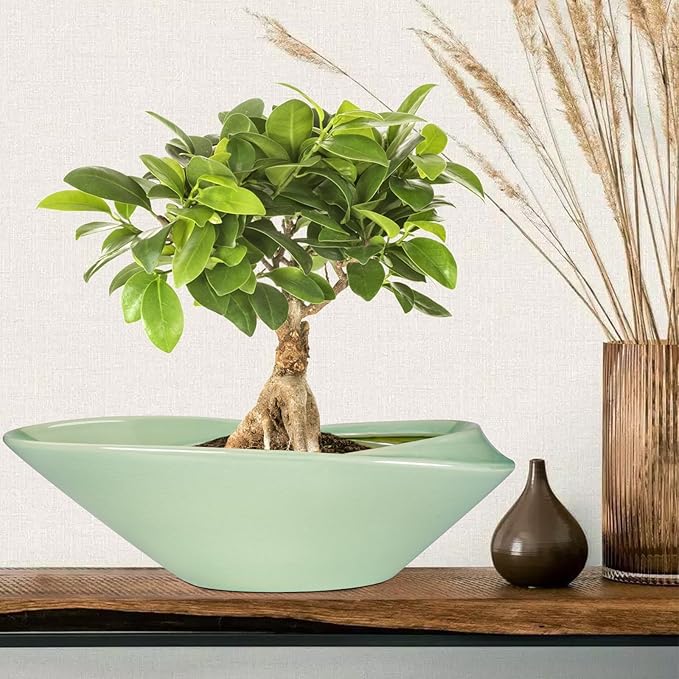 Ceramic Bonsai Pot - 18 Inch Planter with Drainage Hole Large Modern Bonsai Planter Decorative Succulent Flower Plant Pot for Indoor Plants Outdoor Green