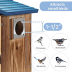 Blue Bird Houses for Outside with Gift Box - Durable Birdhouses for Outdoors with Clear View Panel & Predator Guard for Bluebird Wren Swallow Finch Chickadee Cardinal